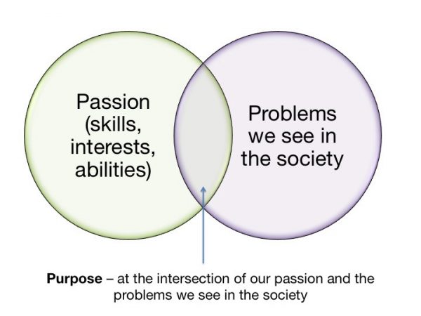 Professional fulfillment : Being passionate about a purpose - Springr Creatives